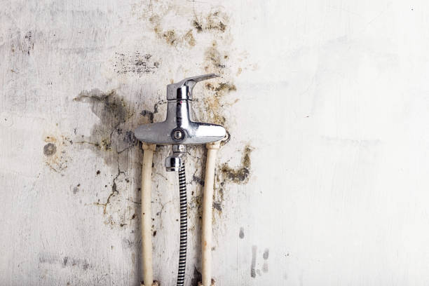  Dover, NH Mold Removal Pros