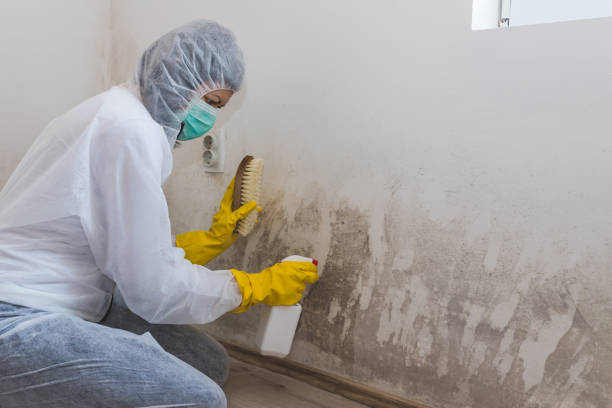 Crawl Space Mold Removal in Dover, NH