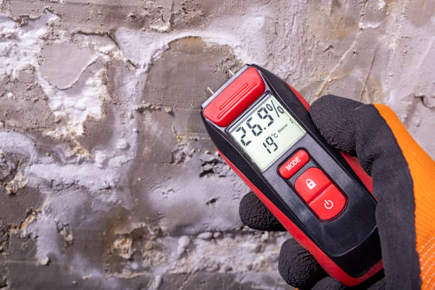 Dover, NH Mold Removal Company