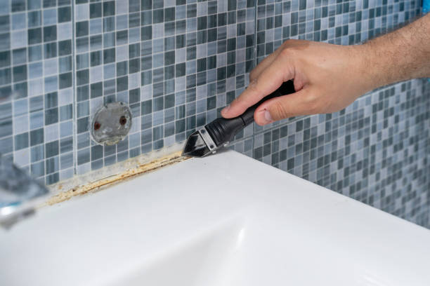 Best Residential Mold Removal  in Dover, NH