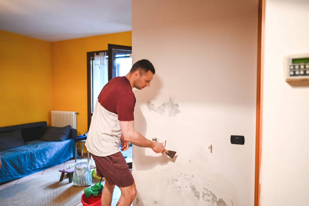 Best Home Mold Removal  in Dover, NH